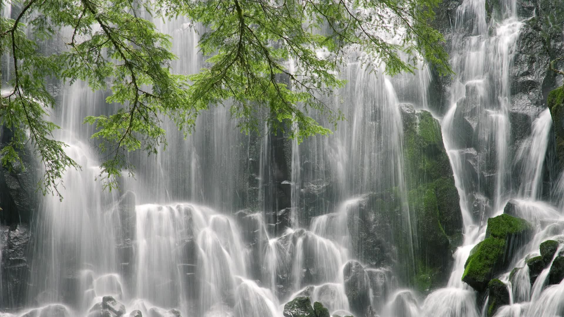世界保龄球场馆智能运营系统试点效果评估发布,2019保龄球馆